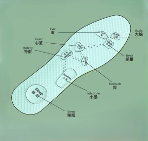 human acupoint massage insoles